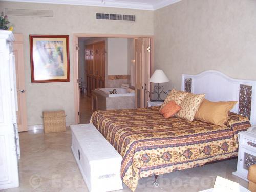 Master Bedroom With Jetted Jacuzzi Tub