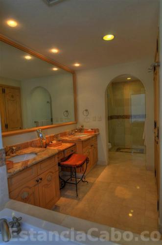 Master Suite Bathroom